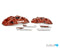 BIG BRAKE KIT, FORGED MONOBLOCK  I BMW F2x I F3x